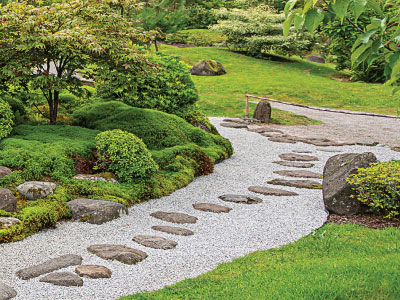 Decorative_Gravels_cat_image